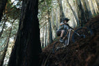 Ibis Cycles Ripley SL