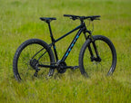 Marin Bolinas Ridge 2
