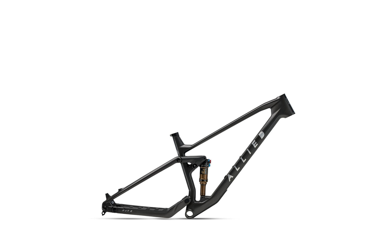 Allied Cycle Works Fitz Frameset