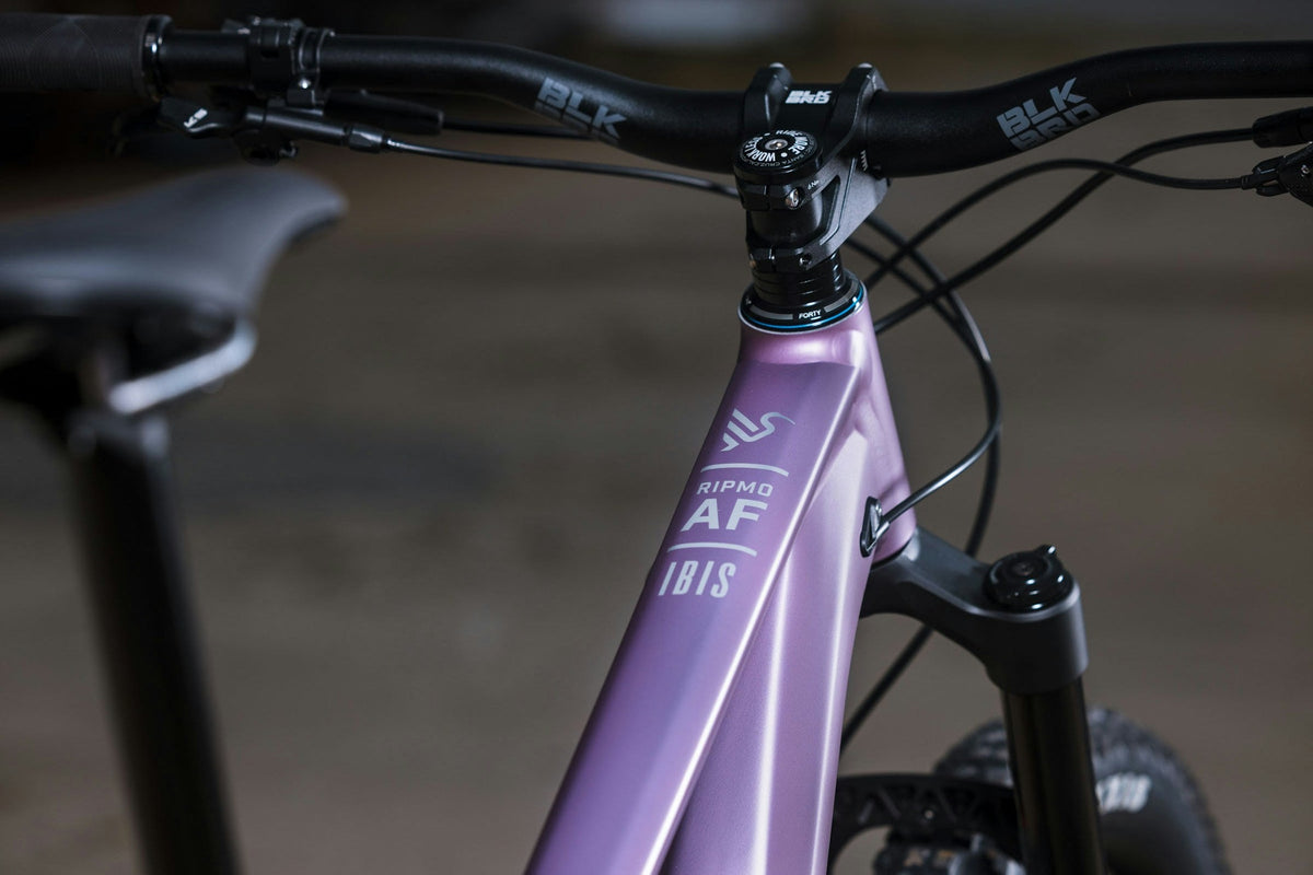 Ibis Ripmo AF