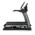 True Fitness Alpine Runner