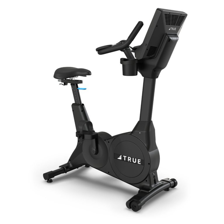 True Performance Series Upright Bike