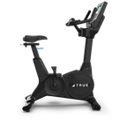 True Performance Series Upright Bike
