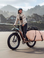 Aventon Aventure 3 Fat Tire Ebike
